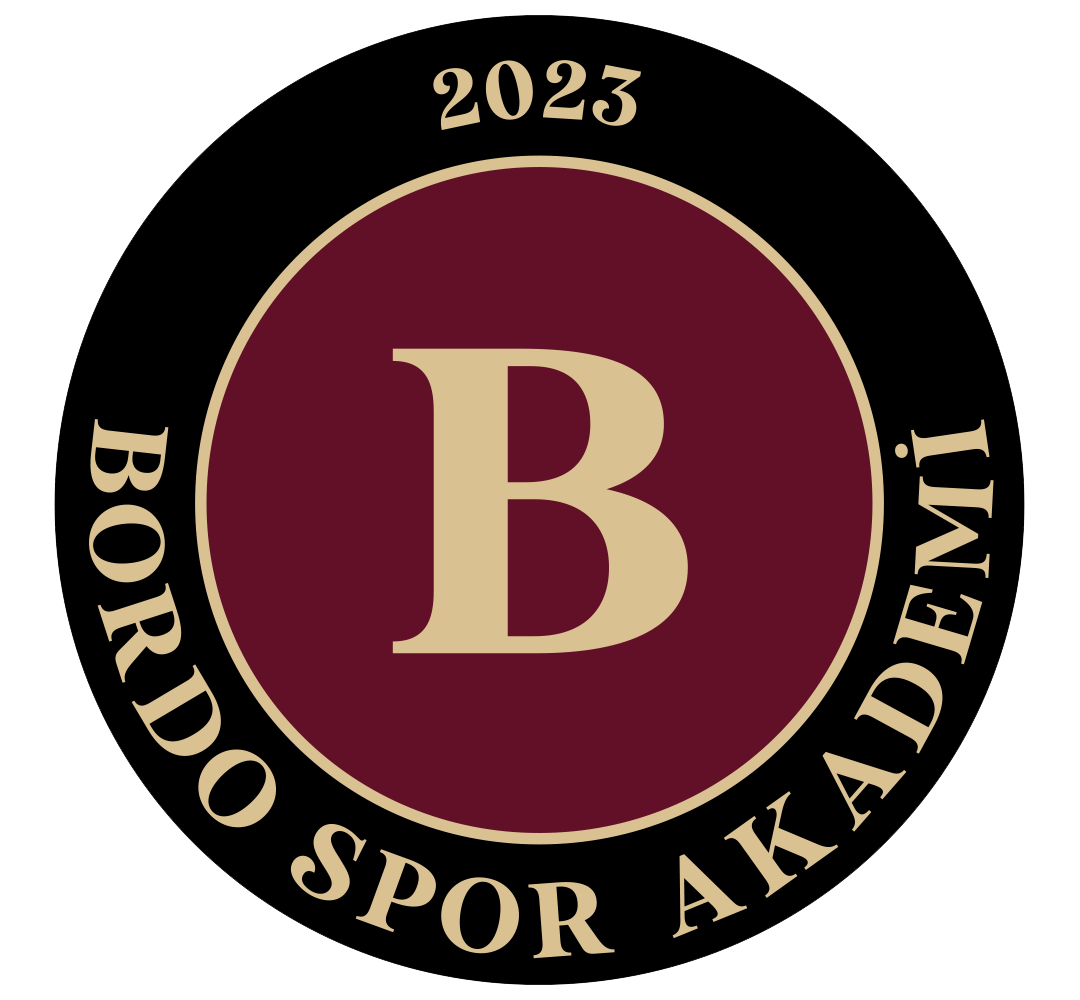 Bordo Akademi Logo